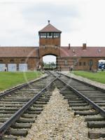 Un Giardino dei Giusti: lo chiede Sinistra Socialista Democratica Un Giardino dei Giusti: lo chiede Sinistra Socialista Democratica