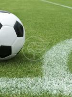 Calcio scommesse: squalifiche a 24 giocatori e multe a 6 società Calcio scommesse: squalifiche a 24 giocatori e multe a 6 società