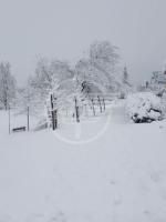 C'è solo tanta neve nell'antica Terra della Libertà C'è solo tanta neve nell'antica Terra della Libertà