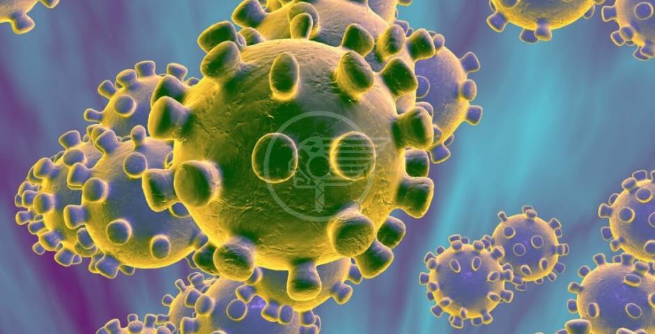 Coronavirus, aggiornamento di oggi: +12 i casi positivi Coronavirus, aggiornamento di oggi: +12 i casi positivi