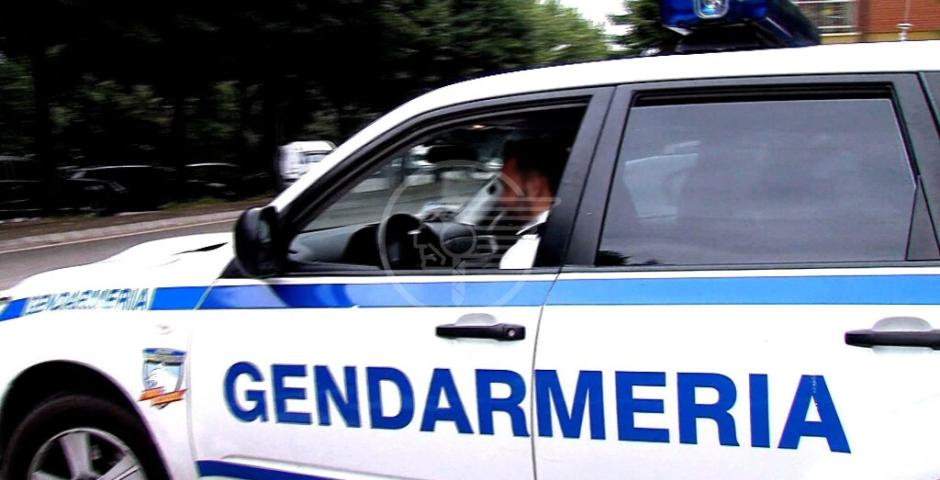 Marijuana, ketamina ed Lsd: maxi sequestro della Gendarmeria Marijuana, ketamina ed Lsd: maxi sequestro della Gendarmeria