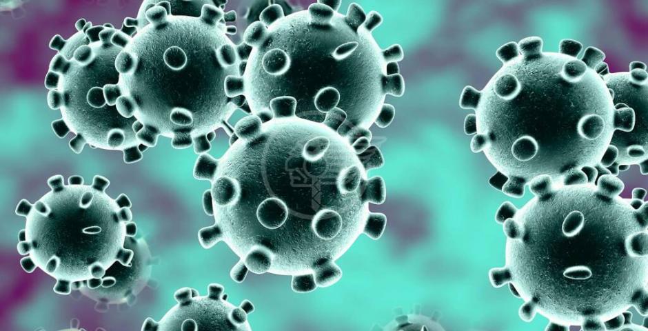 Aggiornamento Coronavirus: 6 persone guarite