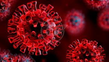 Coronavirus, aggiornamento da San Marino: 40 nuove guarigioni Coronavirus, aggiornamento da San Marino: 40 nuove guarigioni